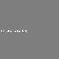 Schickes Leder-Bett